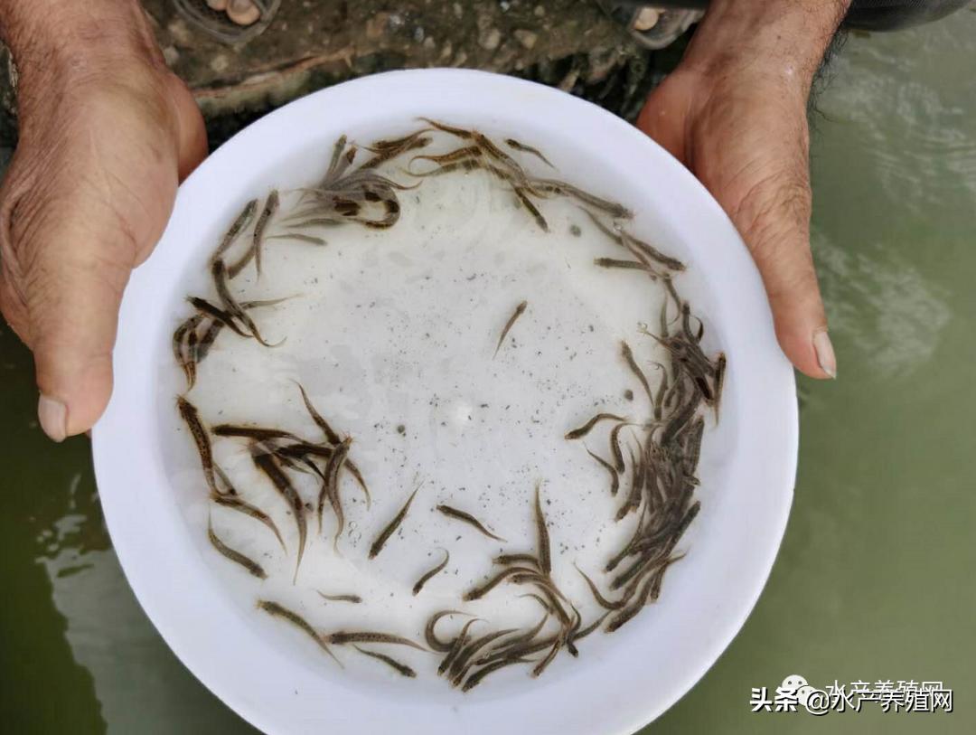 小网红做什么生意好赚钱？