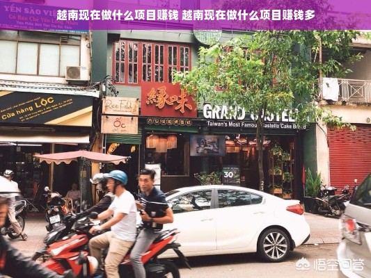 去越南开店做什么好赚钱？