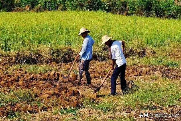 农村适合做什么副业赚钱？