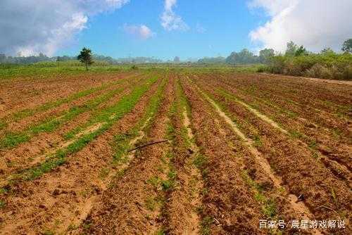 家里有几亩地做什么赚钱 一般家里有几亩地