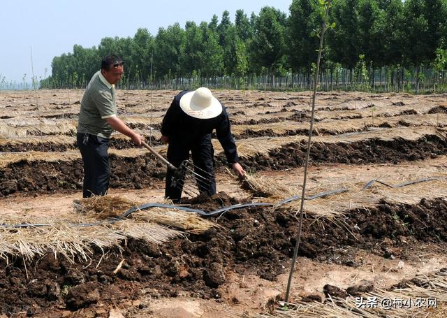 农民接下来做什么好赚钱？