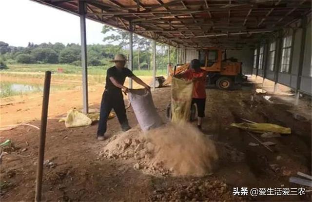 龙川农村做什么小生意赚钱