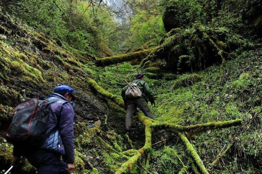 高山海拔农村做什么赚钱