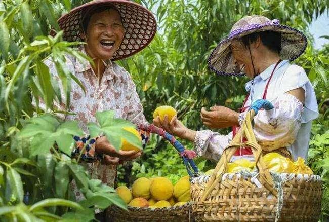 大米做什么小食品卖赚钱