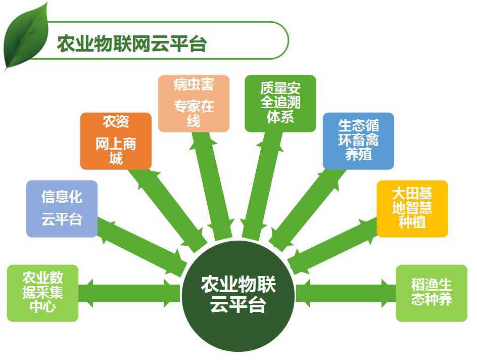 做农产品简单赚钱多，小农户的大智慧