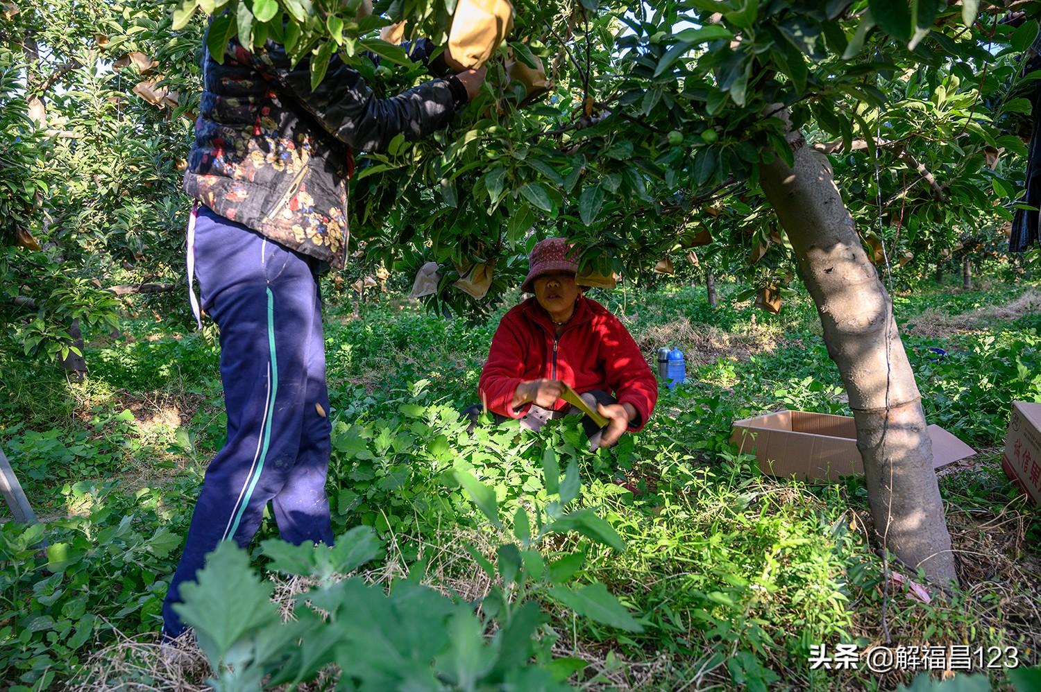 只袋子都做什么生意好赚钱