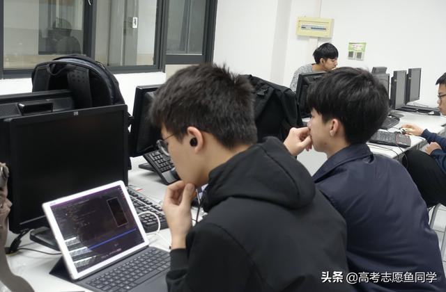 计算机类大学做什么赚钱