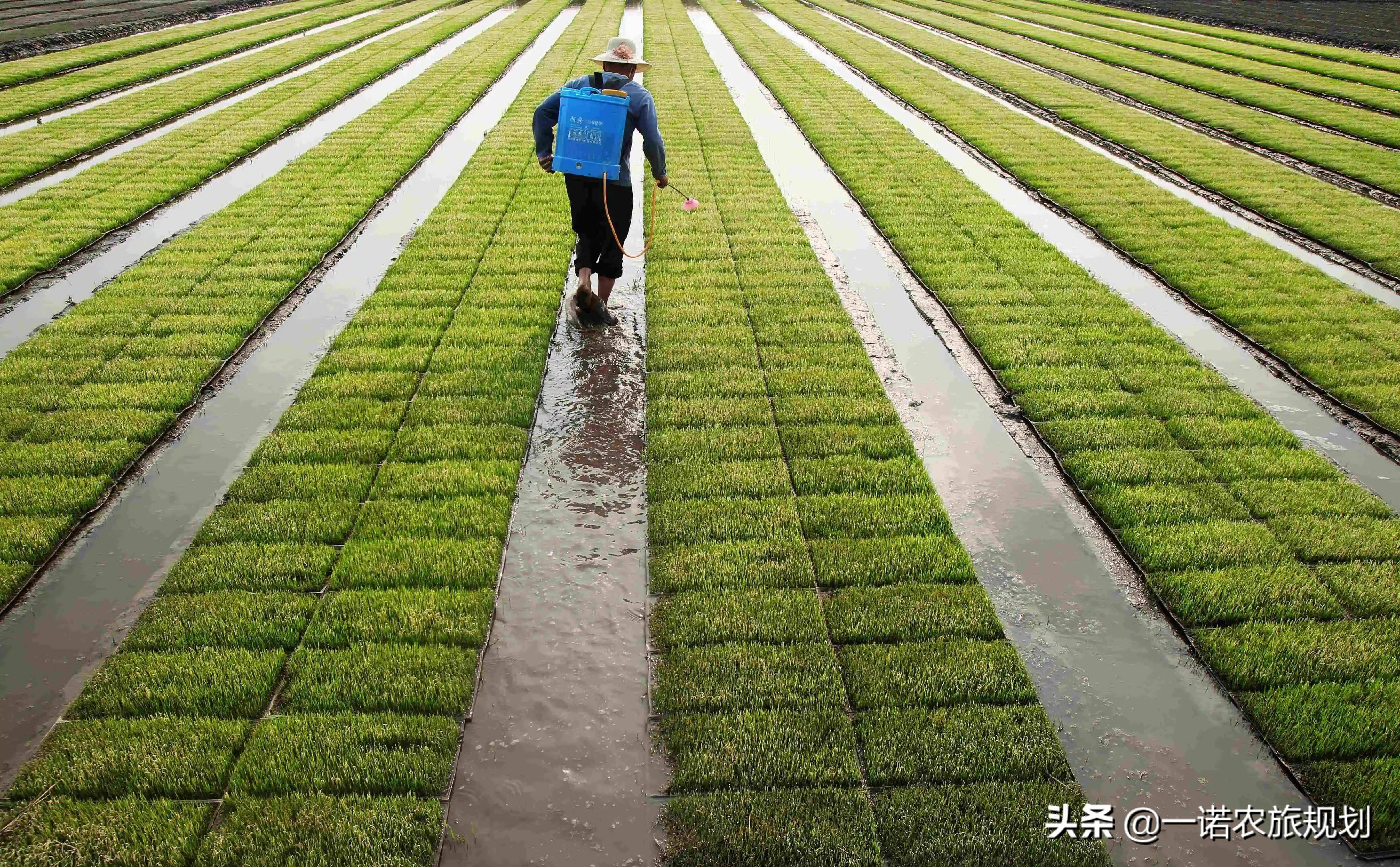 有机肥料项目加盟，开启绿色农业新篇章