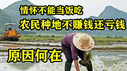 在云南农村做什么好赚钱 云南做什么小生意赚钱