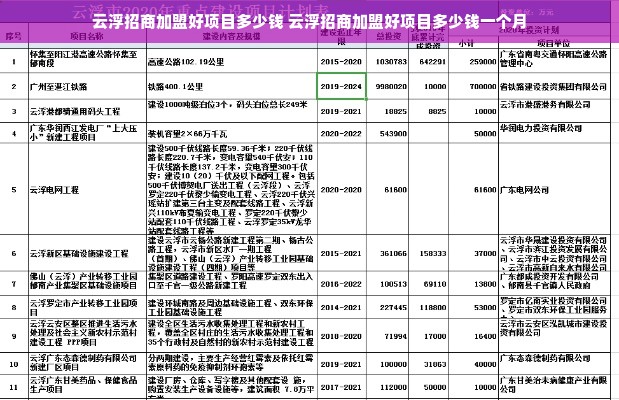 云浮加盟项目费用表图