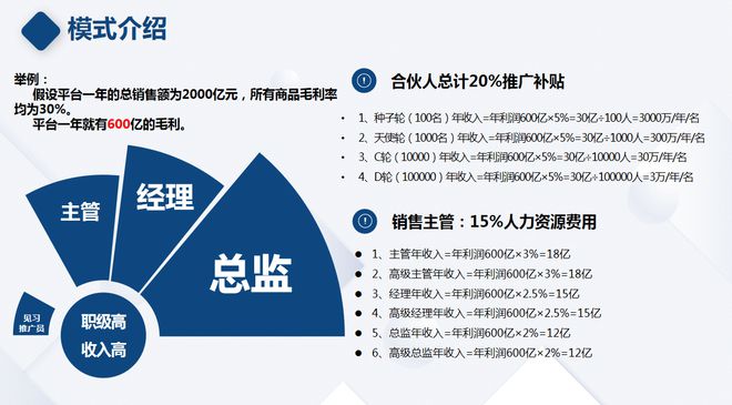 加盟项目的市场机遇示例