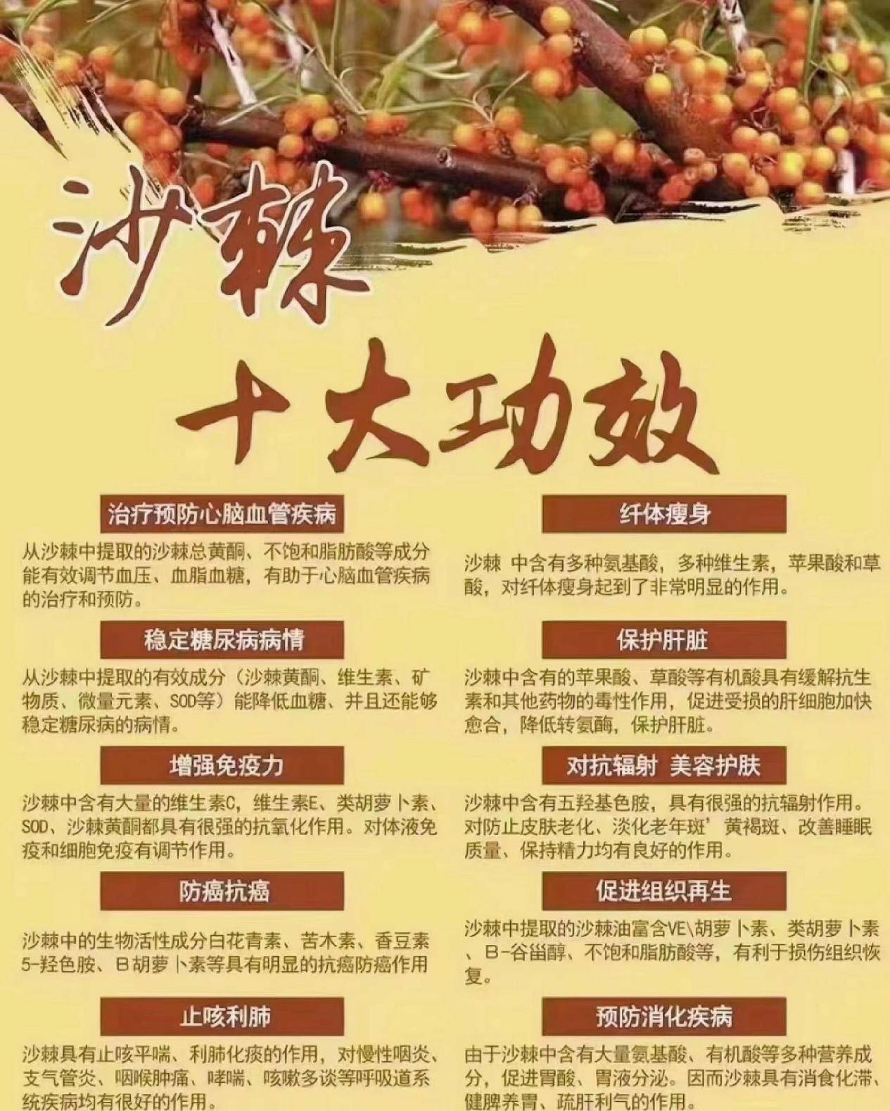 沙棘加盟项目介绍大全最新