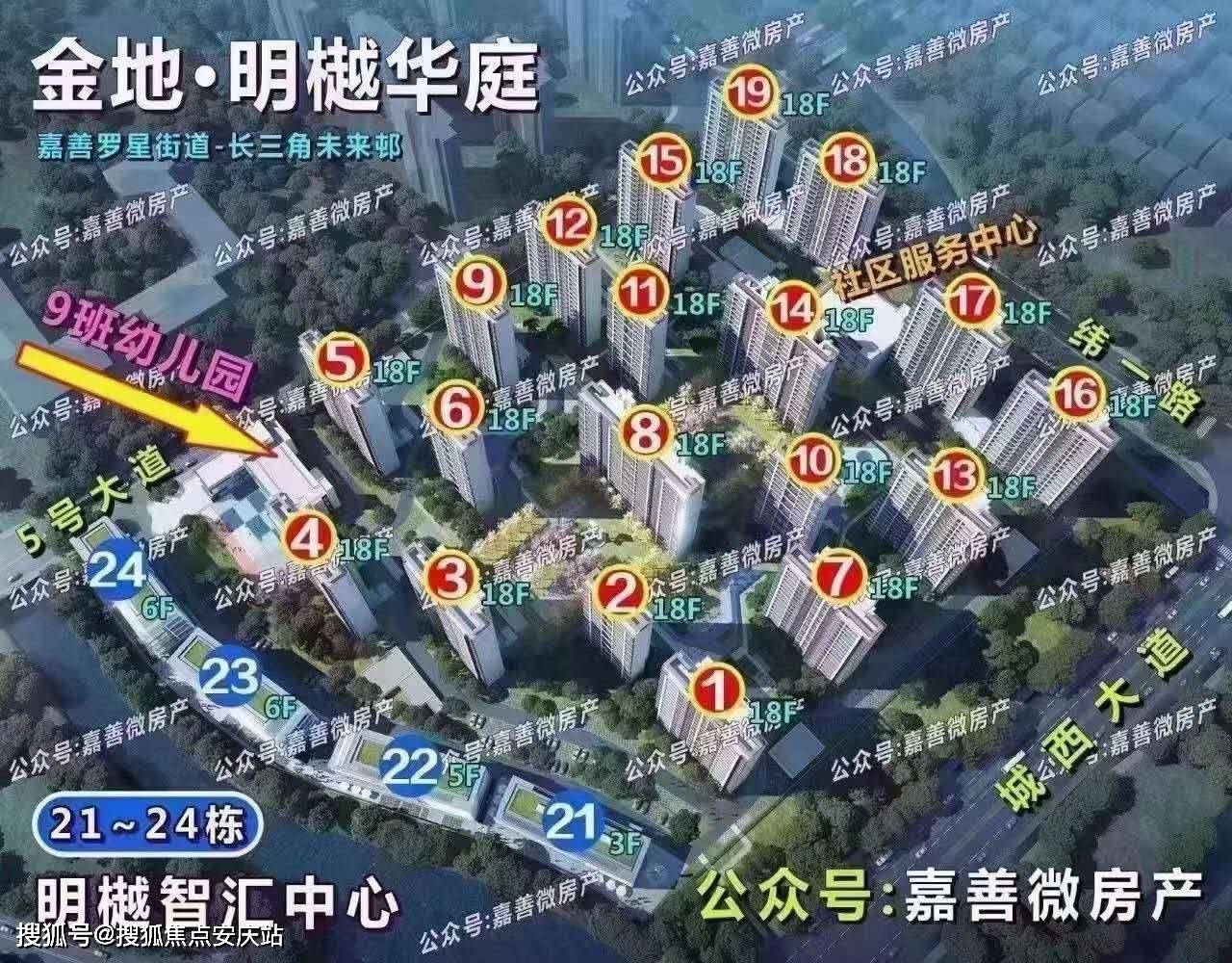 新疆鱼胶项目加盟电话地址