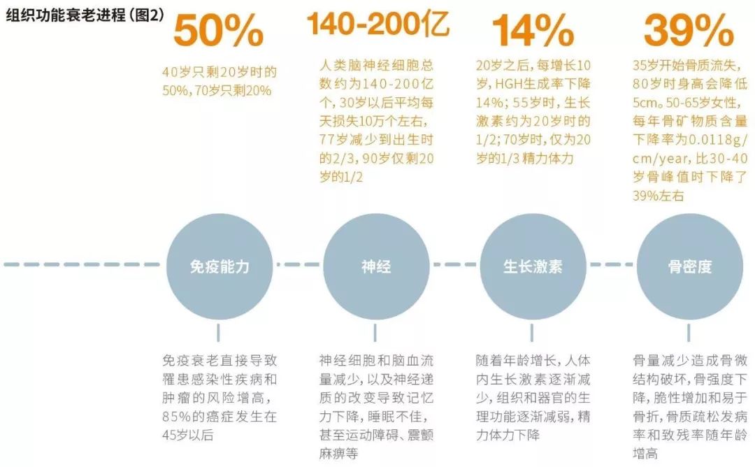 加盟干细胞抗衰老项目，开启美丽健康之旅