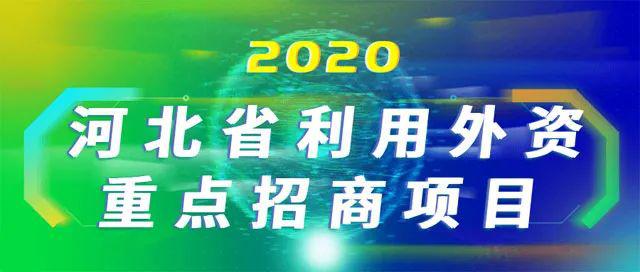 2020年招商加盟项目