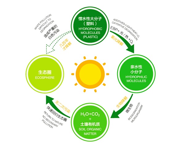 可降解塑料项目加盟，让地球更清洁的未来