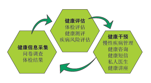 健康风险评估加盟好项目，迈向成功的健康之路