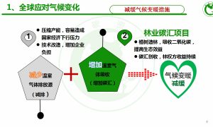 碳汇项目加盟费，开启绿色创业之旅