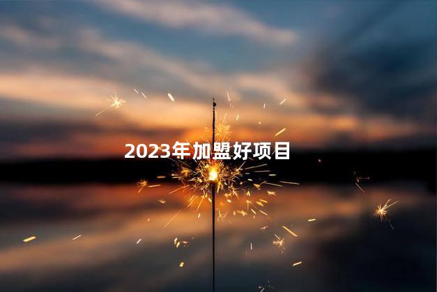 2023年加盟大品牌项目，实现财富梦想的捷径