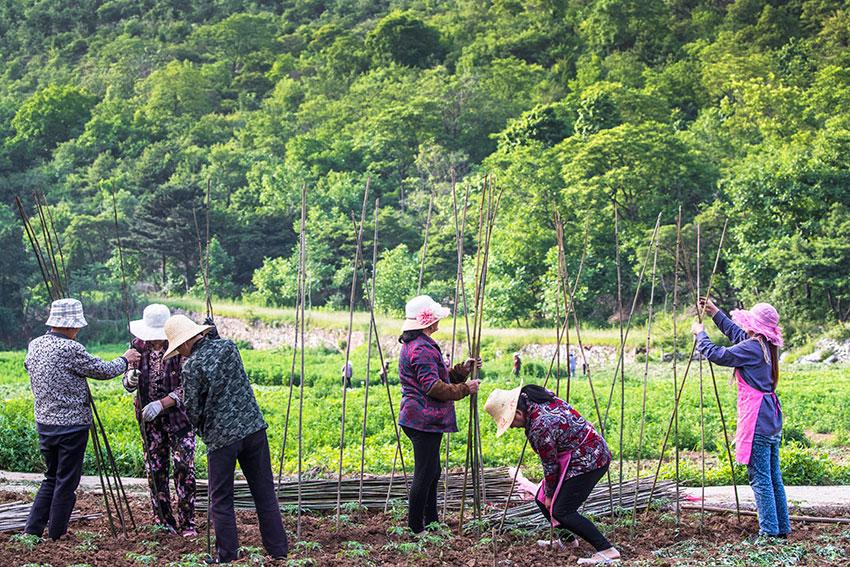 生物就业方面怎么样 生物就业方向与前景