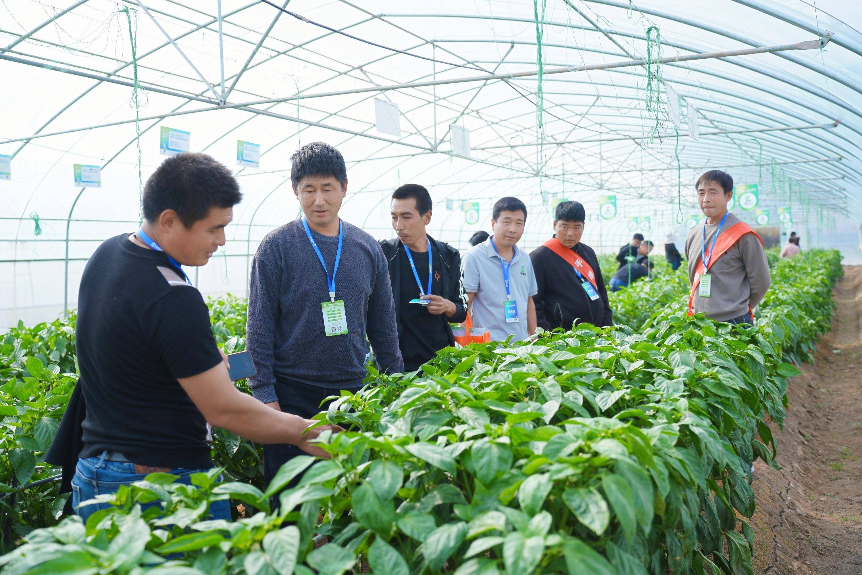 河南特殊种植加盟项目——探索农业新领域