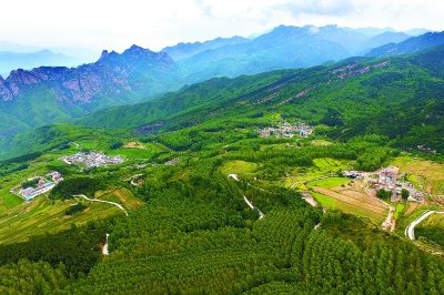 高山里适合做什么生意赚钱 高山山区适合发展什么产业