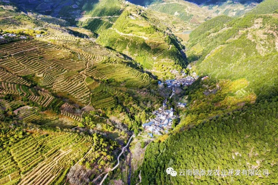 高山里适合做什么生意赚钱 高山山区适合发展什么产业