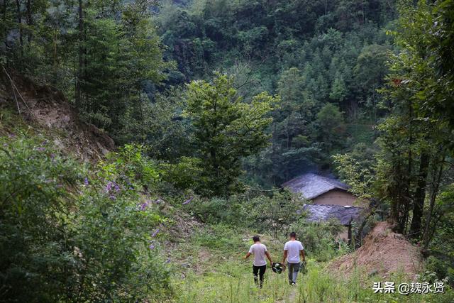 高山里适合做什么生意赚钱 高山山区适合发展什么产业