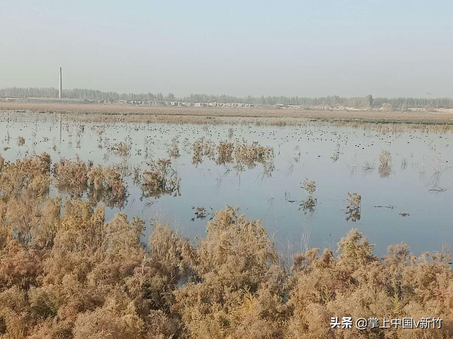 打工做什么鱼好卖点赚钱 打工什么行业赚钱多