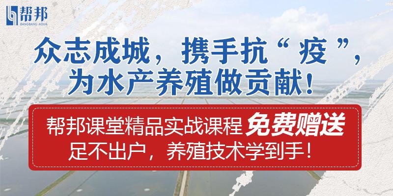 水产养殖加盟项目名称，探索水产业的奥秘与机遇