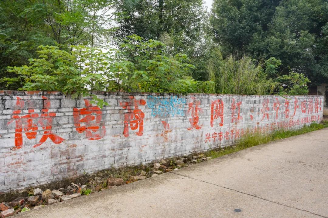 梅州网红加盟项目，探索未来的财富之路