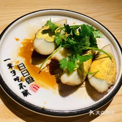 乾安县鹅肉加盟项目，引领美食潮流的新篇章