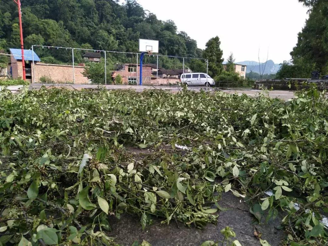 豆豆做什么生意最好赚钱 豆豆收入