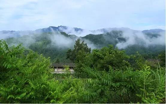 大学生在深山做什么好赚钱 在深山里的大学