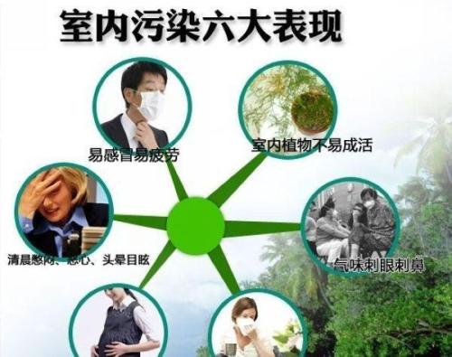 环保小生意项目加盟，绿色创业的新篇章