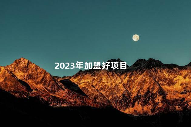 2023年加盟生产项目推荐