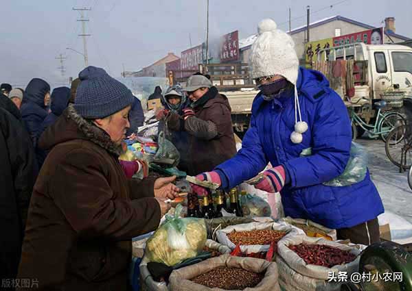 在东北老家做什么赚钱 在东北老家做什么赚钱呢