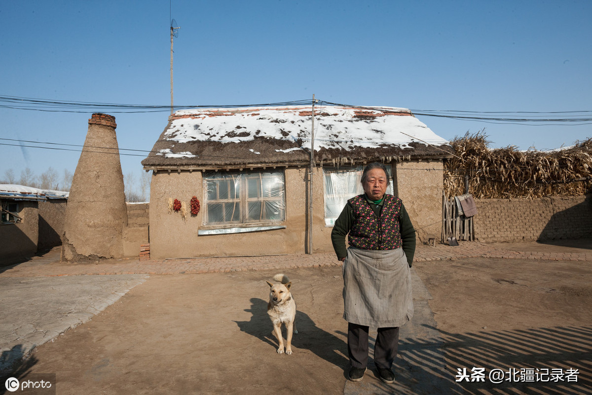 在东北老家做什么赚钱 在东北老家做什么赚钱呢