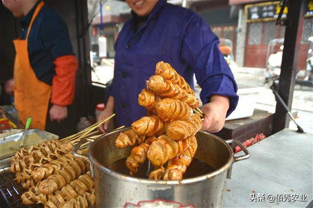 能做什么面包摆摊准备赚钱 能做什么面包摆摊准备赚钱呢