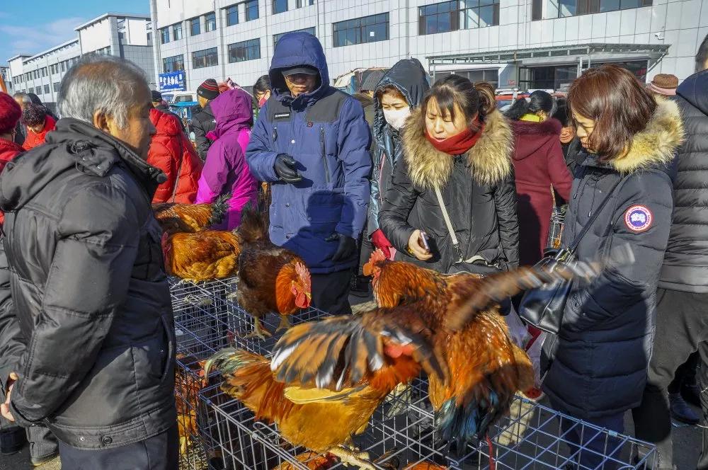 盘锦饮品项目加盟费用