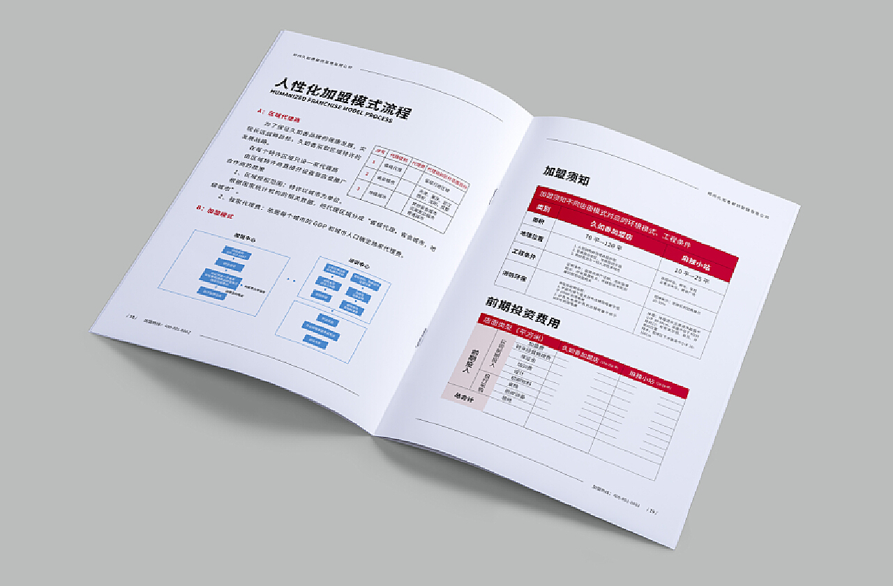 加盟项目手册模板范文图片