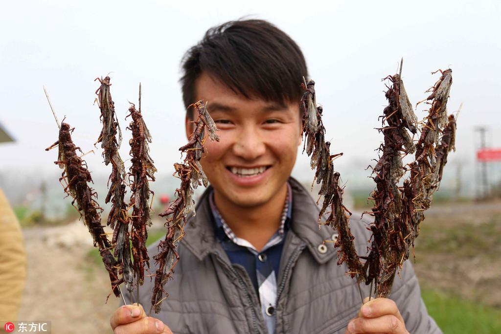 读食品做什么工作赚钱呢 食品行业做什么挣钱