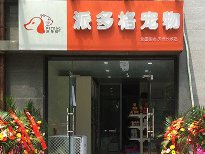 重庆宠物店加盟项目，探索宠物行业的无限商机