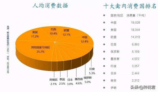 2020最火加盟项目围炉，挑战与机遇并存