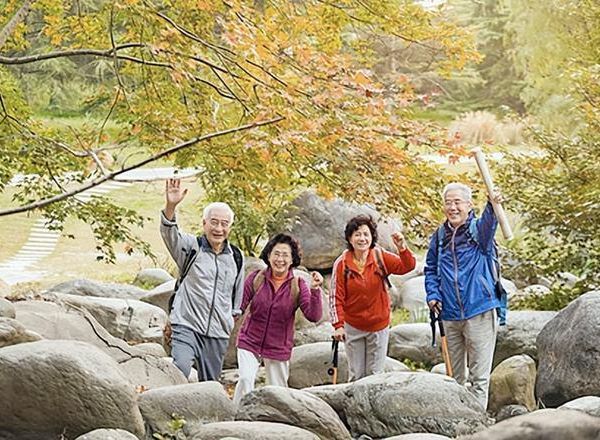 老年人旅游项目加盟，探索无限可能的旅程