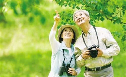 老年人旅游项目加盟，探索无限可能的旅程