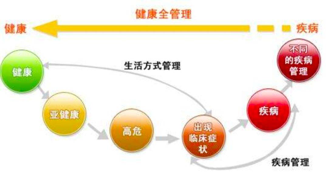 健康管理项目加盟连锁，探索成功的关键因素与策略