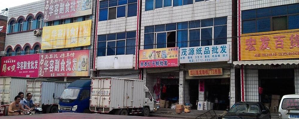 新开发一个镇做什么赚钱 再镇上开个什么样的店好