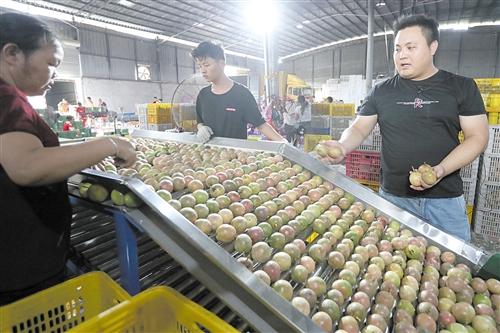 东莞餐饮外卖加盟项目排名