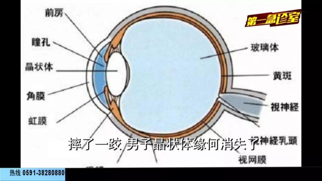 福州眼镜店加盟项目，探索未来视力健康产业的新商机